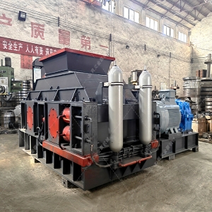 2PG1000x700中型液压对辊蜜柚免费观看视频在线发货 发往新疆